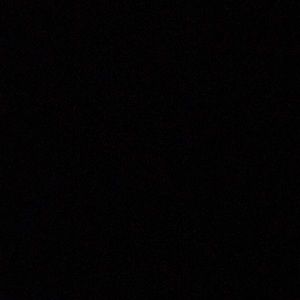 Meet your Posher, Litzi